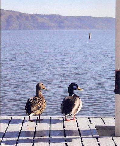 The Mallard House Inn Lakeport Facilități foto